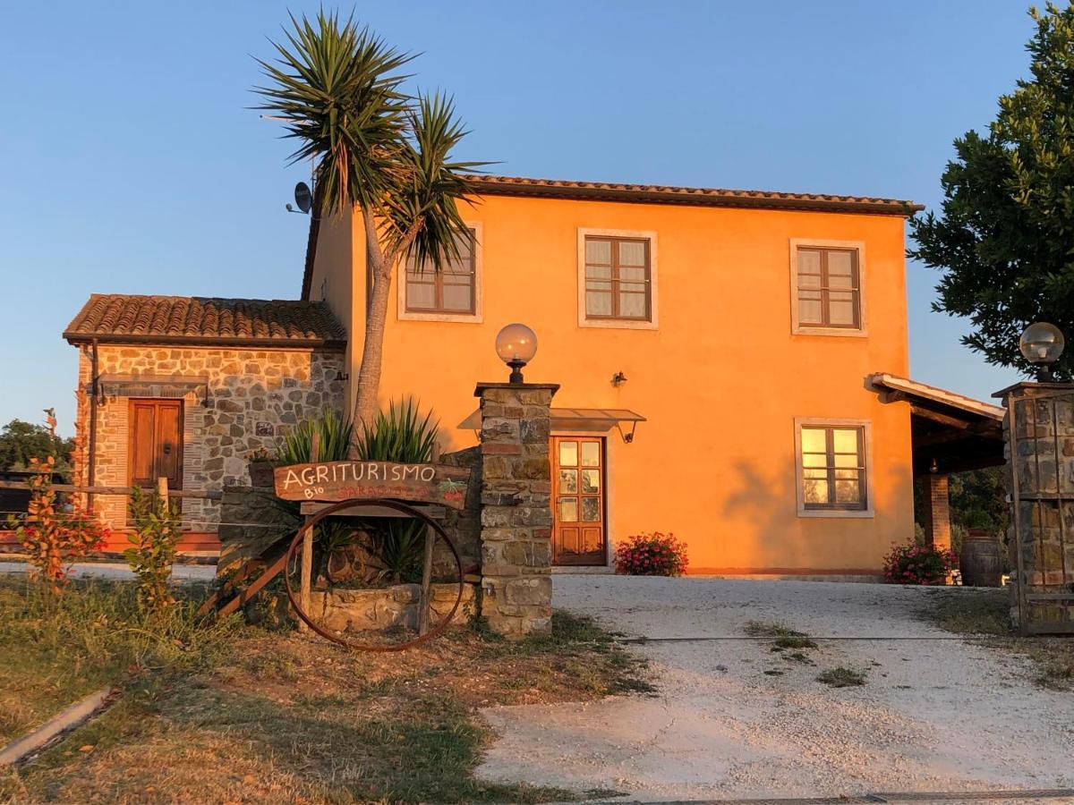 Agriturismo Il Saragiolo Villa Montemerano Eksteriør bilde